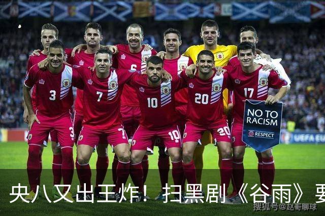 央八又出王炸！扫黑剧《谷雨》要来了