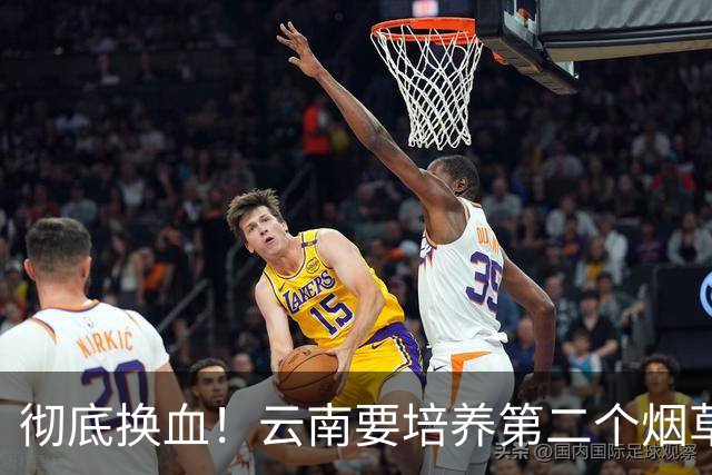 彻底换血！云南要培养第二个烟草产业，它够格接棒吗？