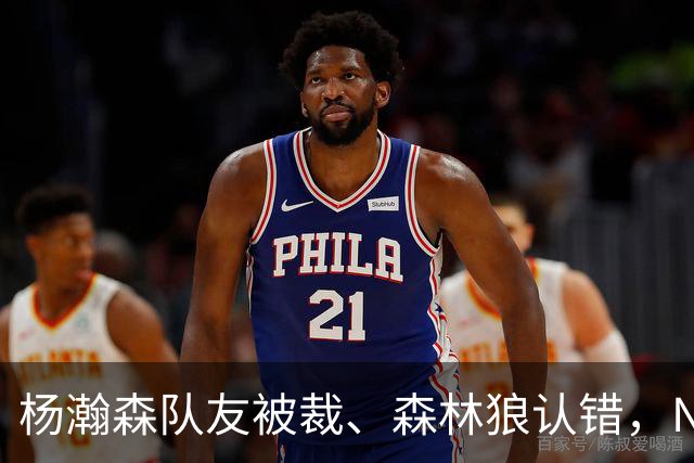 杨瀚森队友被裁、森林狼认错，NBA高个控卫实验，为什么都失败了