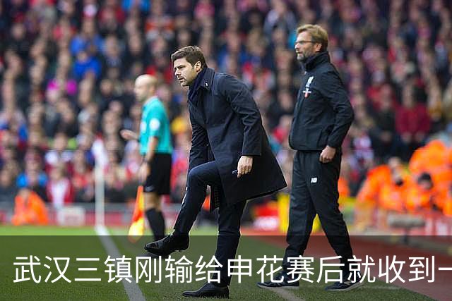 武汉三镇刚输给申花赛后就收到一个好消息，事关球队未来保级