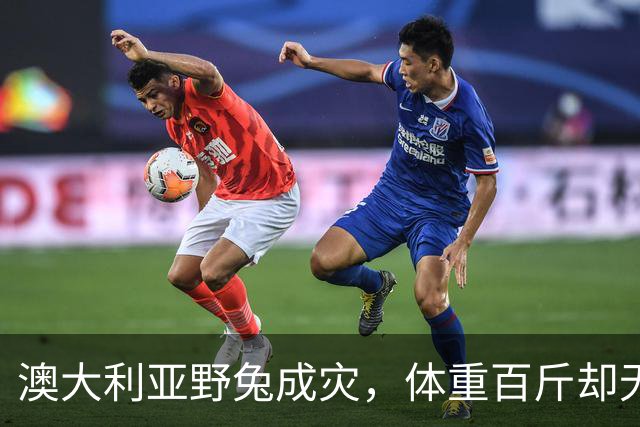 澳大利亚野兔成灾，体重百斤却无人食用，当地人给出答案：不敢吃