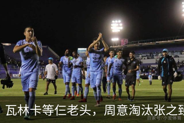 瓦林卡等仨老头，周意淘汰张之臻，五金花出局，谢淑薇奥胖入年终