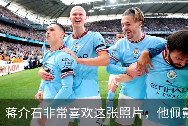 蒋介石非常喜欢这张照片，他佩戴的六枚勋章都代表着什么意义？