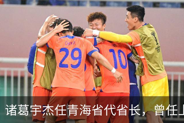 诸葛宇杰任青海省代省长，曾任上海市委副书记、湖北省委副书记等职